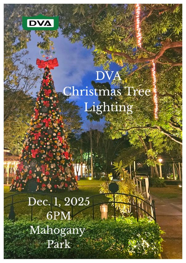 Christmas Tree Lighting